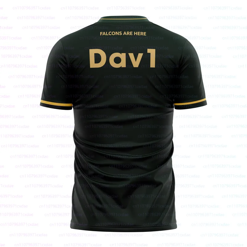 チームファルコンズ 2026 トレーニングユニフォーム CS - Esports Gaming Jersey Design のレビューと価格